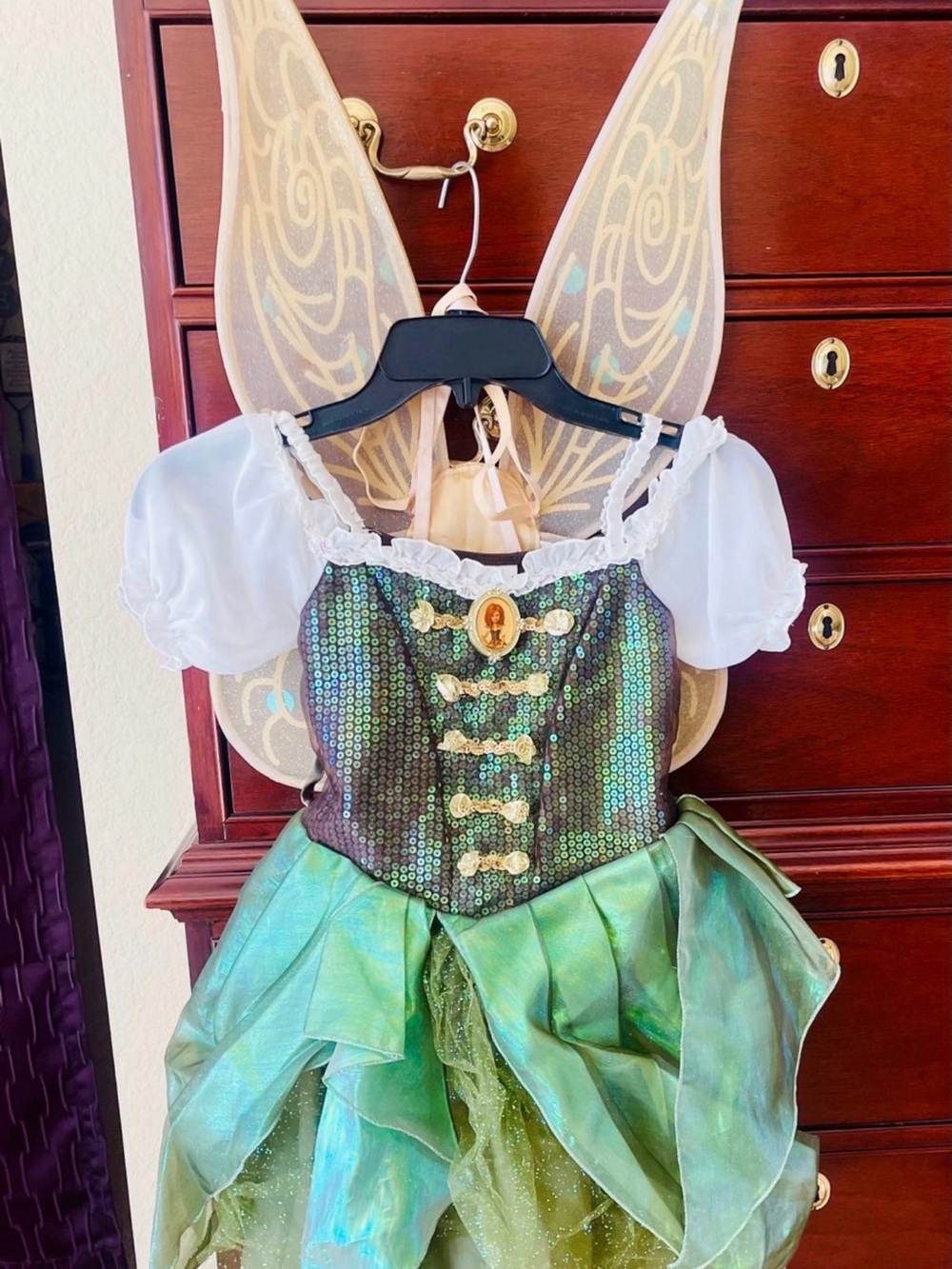 Disney Store Zarina Pirate Fairy Complete Costume Girls 5-6 w/matching wings